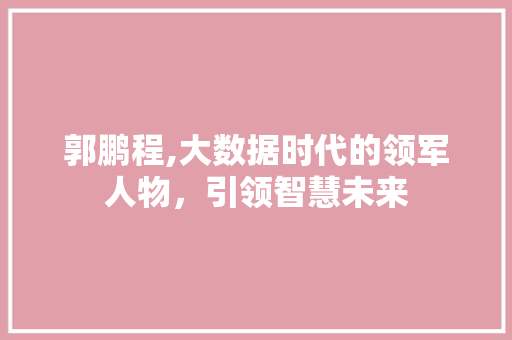 郭鹏程,大数据时代的领军人物，引领智慧未来