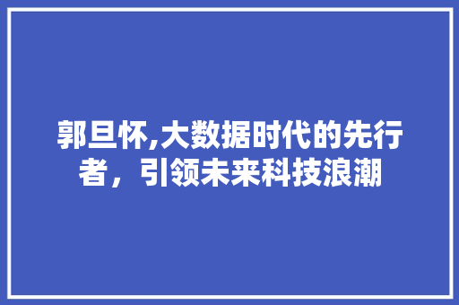 郭旦怀,大数据时代的先行者，引领未来科技浪潮 百度SEO