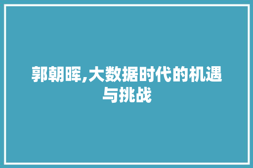 郭朝晖,大数据时代的机遇与挑战 SEO关键词