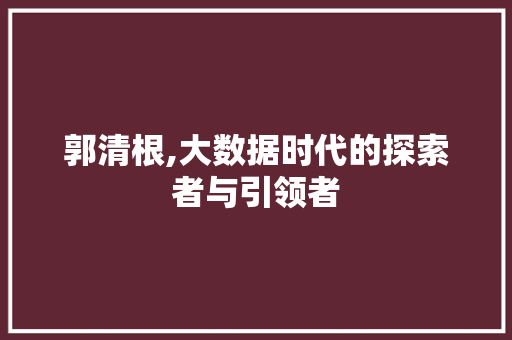 郭清根,大数据时代的探索者与引领者