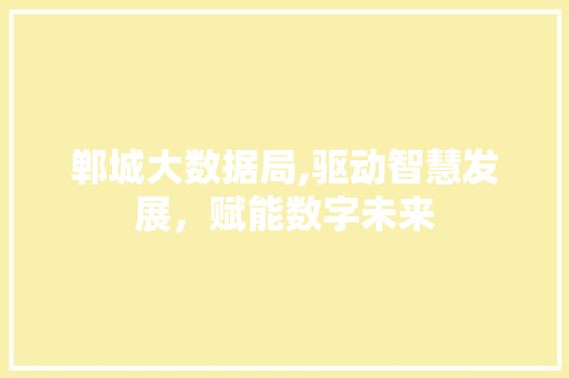 郸城大数据局,驱动智慧发展，赋能数字未来
