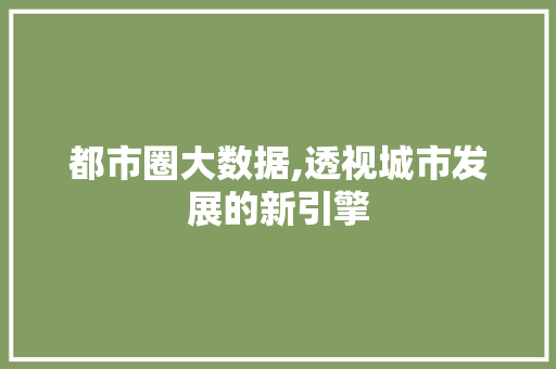 都市圈大数据,透视城市发展的新引擎
