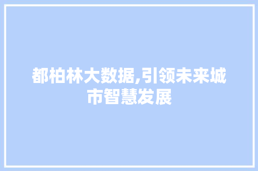 都柏林大数据,引领未来城市智慧发展 SEO关键词