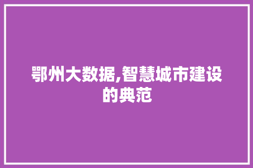 鄂州大数据,智慧城市建设的典范