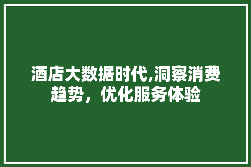 酒店大数据时代,洞察消费趋势，优化服务体验 SEO关键词
