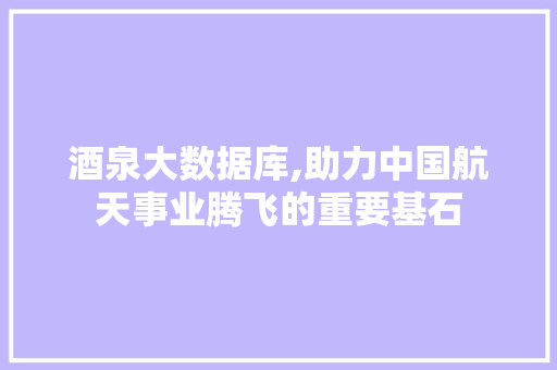 酒泉大数据库,助力中国航天事业腾飞的重要基石
