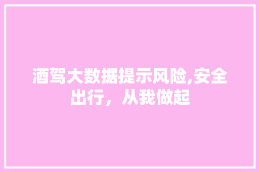 酒驾大数据提示风险,安全出行，从我做起
