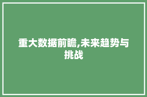 重大数据前瞻,未来趋势与挑战