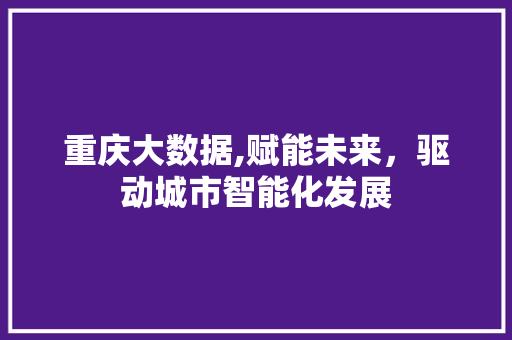 重庆大数据,赋能未来，驱动城市智能化发展