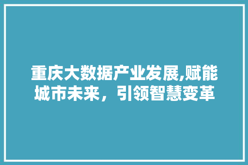 重庆大数据产业发展,赋能城市未来，引领智慧变革