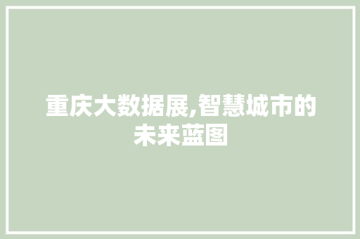 重庆大数据展,智慧城市的未来蓝图