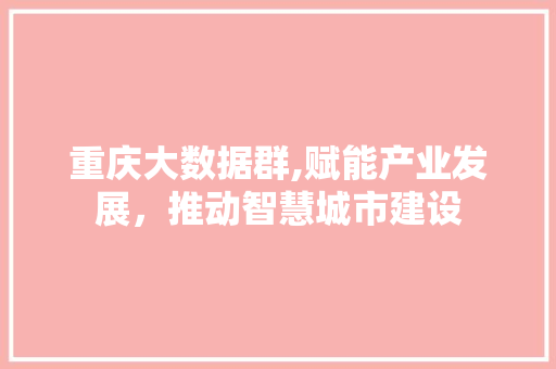 重庆大数据群,赋能产业发展，推动智慧城市建设