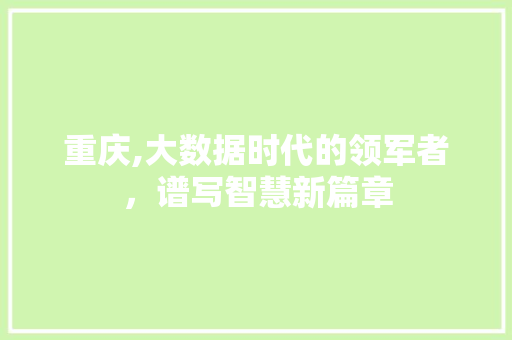 重庆,大数据时代的领军者，谱写智慧新篇章