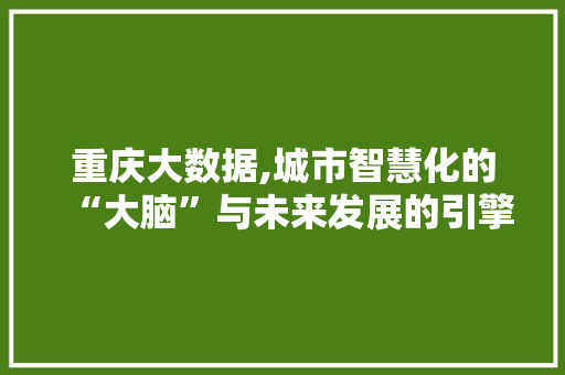 重庆大数据,城市智慧化的“大脑”与未来发展的引擎