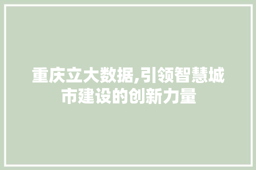 重庆立大数据,引领智慧城市建设的创新力量