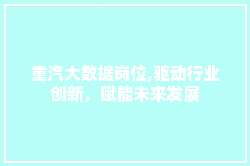 重汽大数据岗位,驱动行业创新，赋能未来发展
