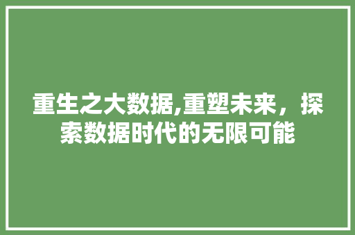 重生之大数据,重塑未来，探索数据时代的无限可能