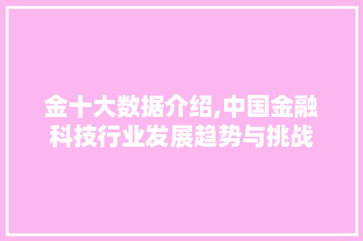 金十大数据介绍,中国金融科技行业发展趋势与挑战