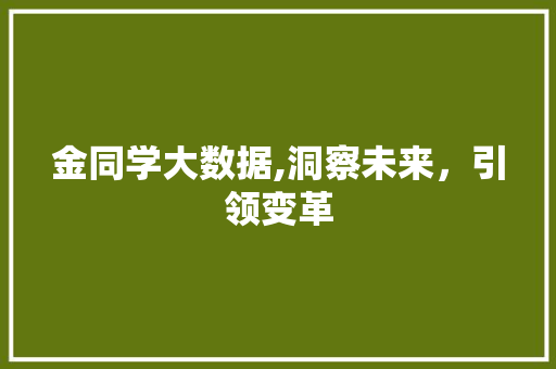 金同学大数据,洞察未来，引领变革 网站建设公司