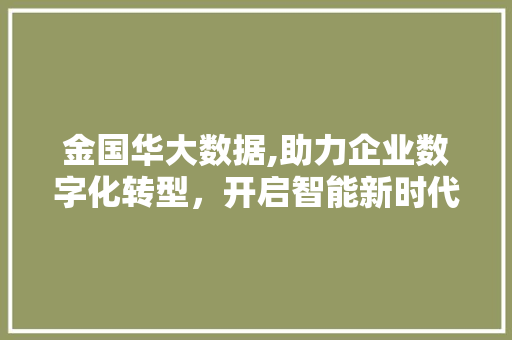 金国华大数据,助力企业数字化转型，开启智能新时代