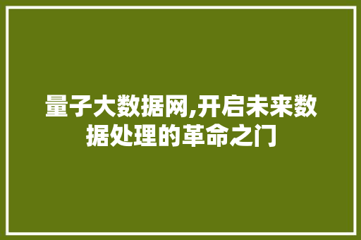 量子大数据网,开启未来数据处理的革命之门