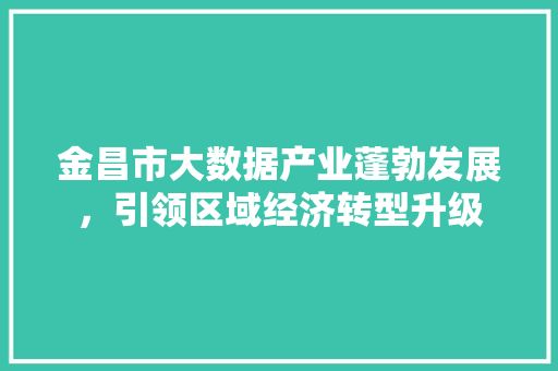 金昌市大数据产业蓬勃发展，引领区域经济转型升级