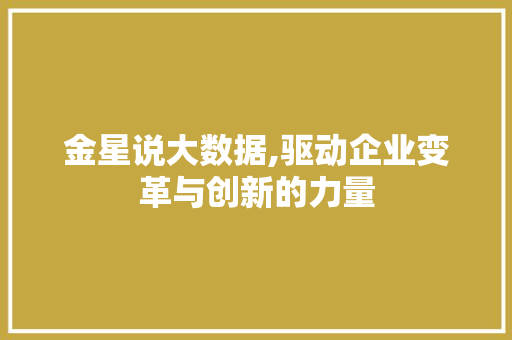 金星说大数据,驱动企业变革与创新的力量