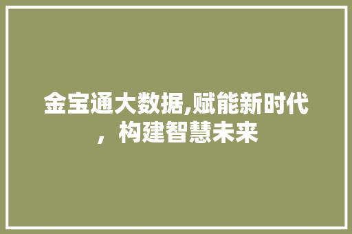 金宝通大数据,赋能新时代，构建智慧未来 百度SEO