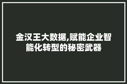 金汉王大数据,赋能企业智能化转型的秘密武器 百度SEO