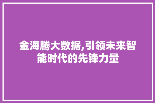 金海腾大数据,引领未来智能时代的先锋力量