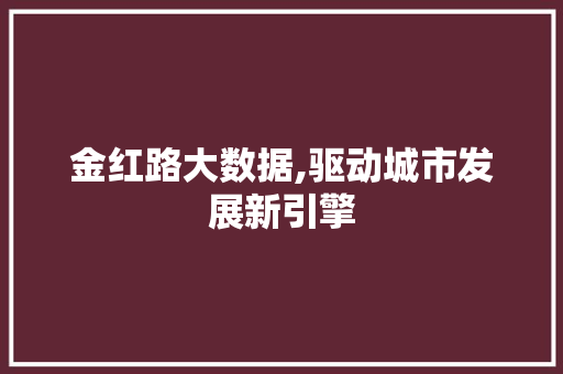 金红路大数据,驱动城市发展新引擎