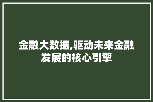 金融大数据,驱动未来金融发展的核心引擎