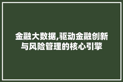 金融大数据,驱动金融创新与风险管理的核心引擎