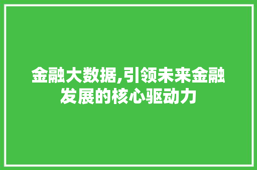 金融大数据,引领未来金融发展的核心驱动力