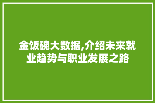 金饭碗大数据,介绍未来就业趋势与职业发展之路