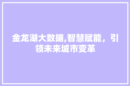 金龙湖大数据,智慧赋能，引领未来城市变革