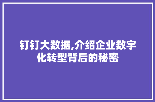 钉钉大数据,介绍企业数字化转型背后的秘密