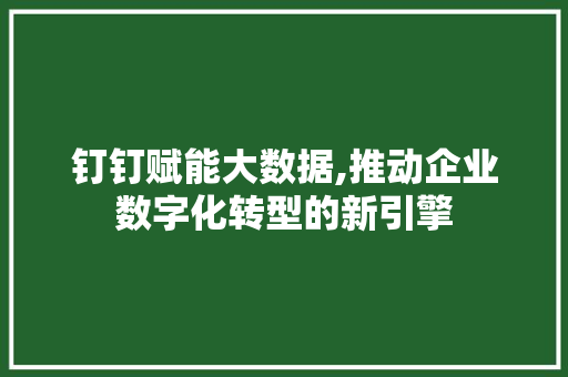 钉钉赋能大数据,推动企业数字化转型的新引擎