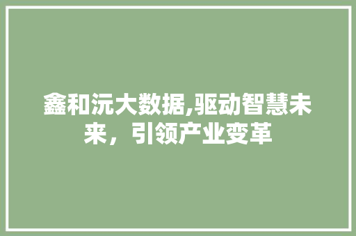 鑫和沅大数据,驱动智慧未来，引领产业变革