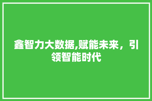鑫智力大数据,赋能未来，引领智能时代