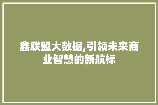 鑫联盟大数据,引领未来商业智慧的新航标