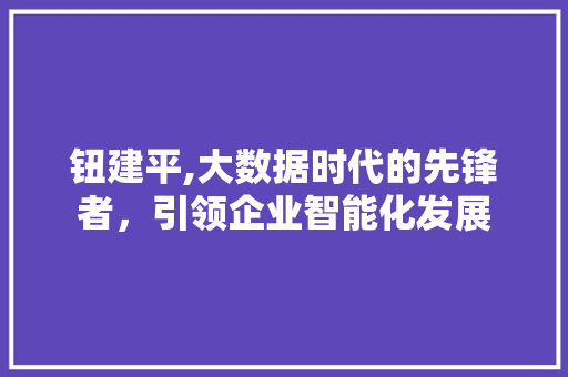 钮建平,大数据时代的先锋者，引领企业智能化发展