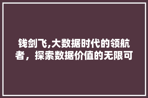 钱剑飞,大数据时代的领航者，探索数据价值的无限可能