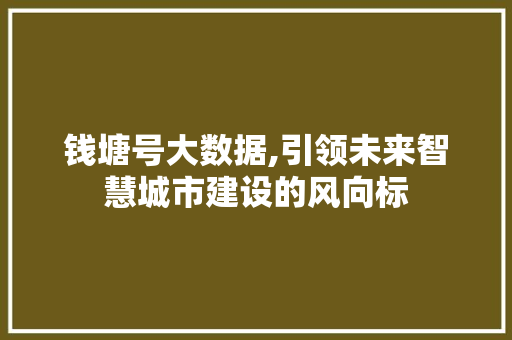 钱塘号大数据,引领未来智慧城市建设的风向标