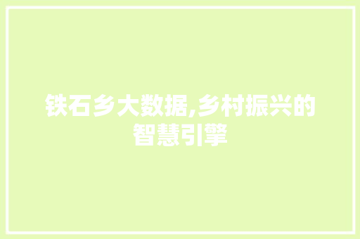 铁石乡大数据,乡村振兴的智慧引擎 网站建设公司