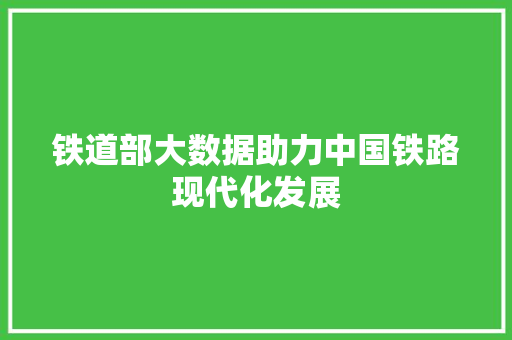 铁道部大数据助力中国铁路现代化发展