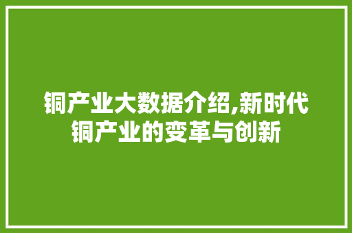 铜产业大数据介绍,新时代铜产业的变革与创新