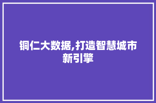 铜仁大数据,打造智慧城市新引擎