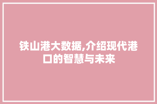 铁山港大数据,介绍现代港口的智慧与未来