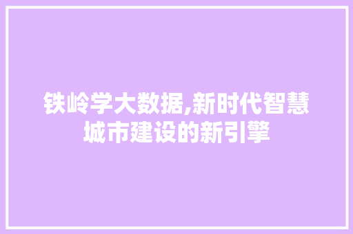 铁岭学大数据,新时代智慧城市建设的新引擎